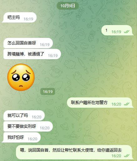 跨境赌博，被通缉了，怎么回国自首？